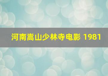 河南嵩山少林寺电影 1981